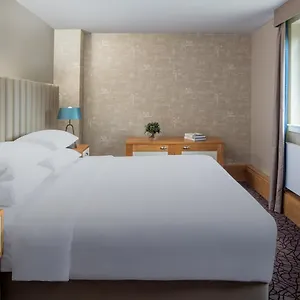 The Scholar Hotel
